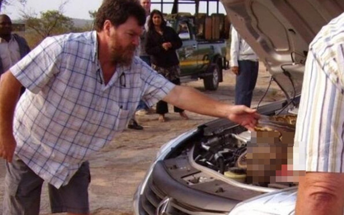 Động cơ ô tô đột ngột tắt, cặp vợ chồng mở nắp xe thì 'thất kinh' trước cảnh trước mắt Ảnh 2