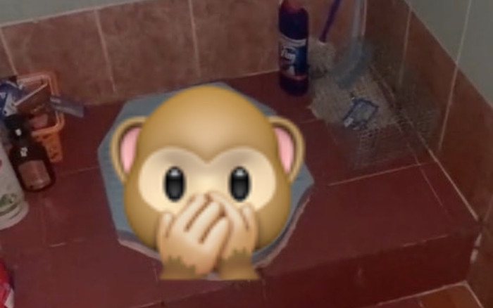 Nhiều lần thấy tiếng động lạ trong nhà vệ sinh của mình, anh chàng kinh hãi khi 'bắt quả tang' cảnh này Ảnh 2