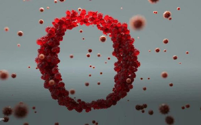 Biến thể Omicron sẽ tự diệt vì có quá nhiều đột biến? Ảnh 2