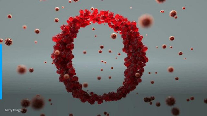 Biến thể Omicron khiến nhiều nhà khoa học trên thế giới gióng lên hồi chuông cảnh báo vì số lượng đột biến của nó.