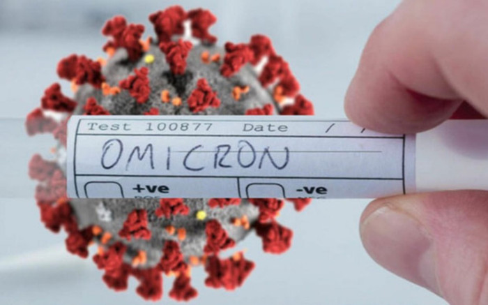 Giải mã các chủng virus Covid-19 tại TP HCM, chưa ghi nhận biến chủng Omicron Ảnh 2