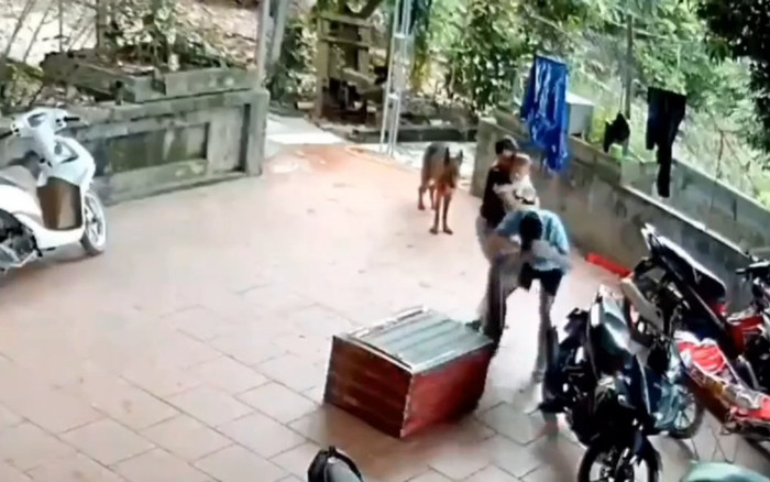 Đứng tim cảnh trăn 'khủng' sổ lồng, lao thẳng ra cắn chặt vào mặt người đàn ông Ảnh 2