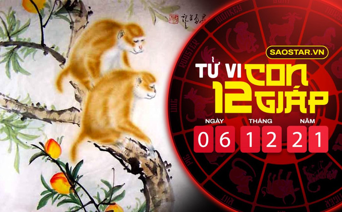 Tử vi hôm nay thứ 2 ngày 6/12/2021 của 12 con giáp: Tý quá khứ bị phanh phui, Thân cẩn thận kẻ thứ 3 Ảnh 2
