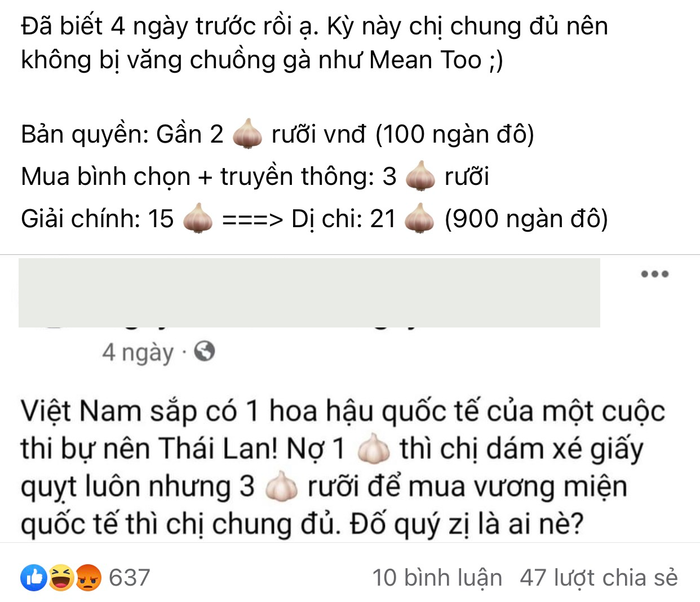 'Một ông trùm Hoa hậu' từng dự đoán Thùy Tiên đăng quang ngôi vị cao nhất với giá 3,5 tỷ đồng Ảnh 2