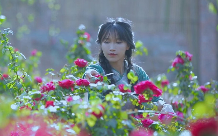 Lý Tử Thất tiết lộ điều bất ngờ sau nhiều năm làm YouTuber Ảnh 2