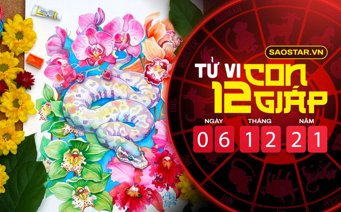 Tử vi hôm nay thứ 3 ngày 7/12/2021 của 12 con giáp: Tỵ được phúc tinh chiếu rọi, Tuất dễ bị hiểu lầm Ảnh 2
