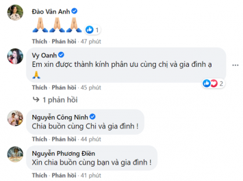Sao Việt bình luận chia buồn cùng Trịnh Kim Chi