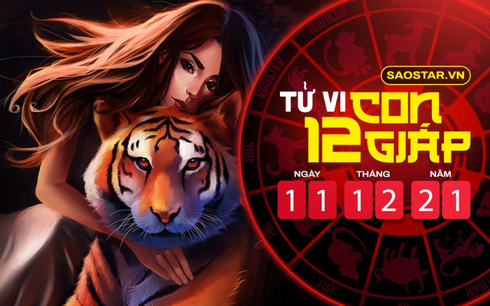 Tử vi hôm nay thứ 7 ngày 11/12/2021 của 12 con giáp: Dần được Thần Tài chiếu cố, Mùi bị hung tinh đeo bám Ảnh 2