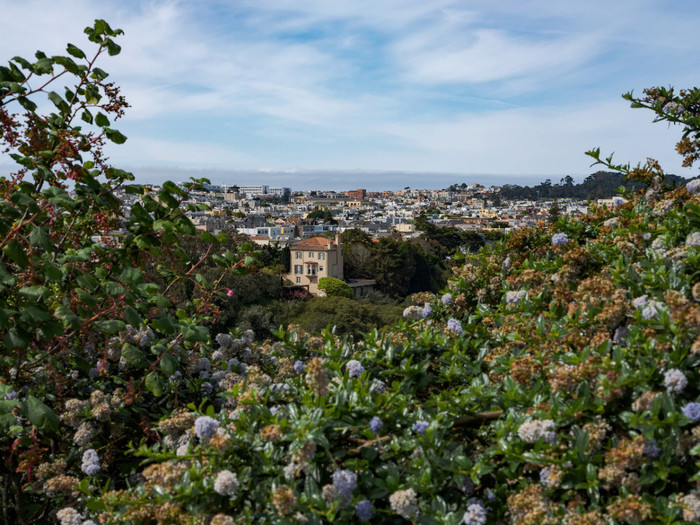 Cung đường dài 26 km Crosstown Trail ở San Francisco, California, Mỹ được nhiều người yêu thích trải nghiệm. Du khách vừa có thể ngắm nhìn thành phố, vừa hòa mình vào thiên nhiên hoang dã khi đi trên đường. Ảnh: Alessandra Sanguinetti