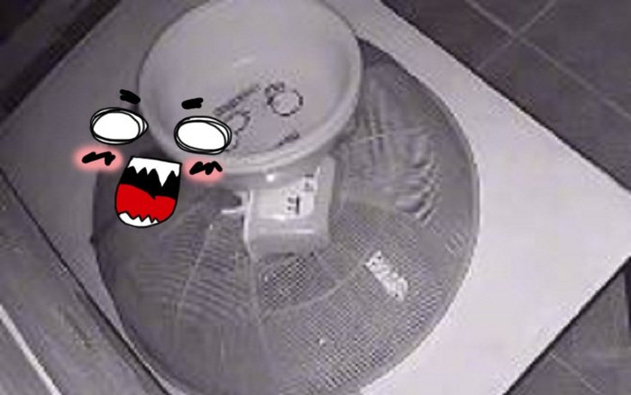 Thấy lồng bàn bị xê dịch dù được chèn kỹ càng, chủ nhà kinh hãi khi kiểm tra camera Ảnh 2