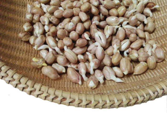 Đậu phộng nảy mầm quý như “vàng' vì mang giá trị dinh dưỡng kép. 