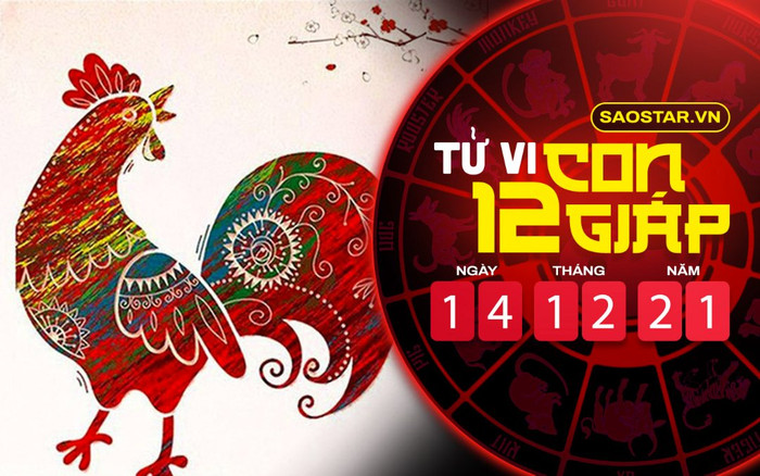 Tử vi hôm nay thứ 3 ngày 14/12/2021 của 12 con giáp: Dậu hao tài tốn của, Tuất gặp vận đen liên miên Ảnh 2