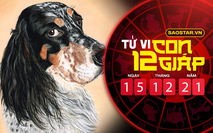 Tử vi hôm nay thứ 4 ngày 15/12/2021 của 12 con giáp: Sửu gặp nhiều rắc rối, Tuất chịu nhiều áp lực Ảnh 2