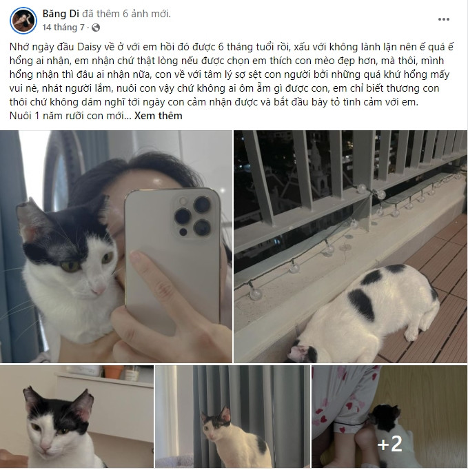 Băng Di nhận nuôi khá nhiều mèo bị bỏ rơi.