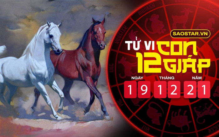 Tử vi hôm nay chủ nhật ngày 19/12/2021 của 12 con giáp: Tý tài lộc dồi dào, Ngọ lười biếng Ảnh 2