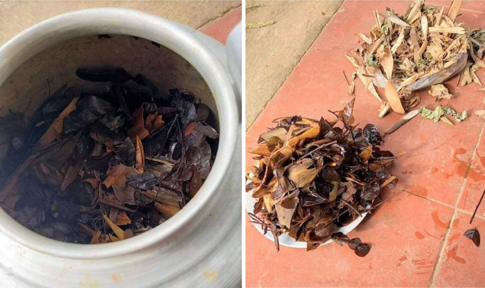 Gia đình tự ý dùng thuốc không rõ nguồn gốc điều trị cho trẻ.