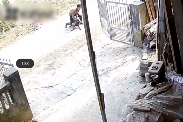 Một người đàn ông xuất hiện, đánh đuổi con chó và giải cứu cháu bé.