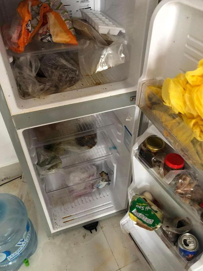 Bất kỳ thứ gì cũng được cô gái cho vào tủ lạnh nhưng lại không sắp xếp ngăn nắp, thậm chí nhiều đồ đã mốc meo, bốc mùi và xuất hiện dòi