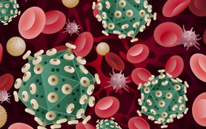 Hãng dược Nhật cho ra mắt thuốc viên trị Covid-19 có thể chống biến thể Omicron Ảnh 2