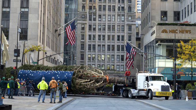 New York thắp sáng cây thông khổng lồ với 8km dây điện chào đón Giáng sinh Ảnh 2