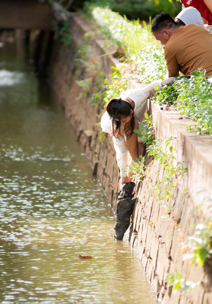 Không được chàng trai nào giúp, Nam Thư lao xuống hồ tự tay giải cứu thú cưng Ảnh 4