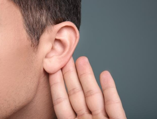 Đàn ông tai nhỏ với vành tai lộ ra ngoài đa số khó thành công trong sự nghiệp. Ảnh minh họa