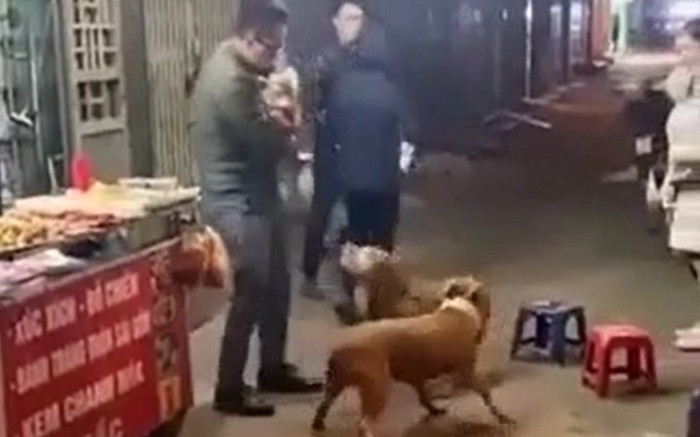 Clip: Chó Pitbull hung tợn lao vào tấn công chú chó nhỏ hơn làm 3 người phải chật vật can ngăn Ảnh 2