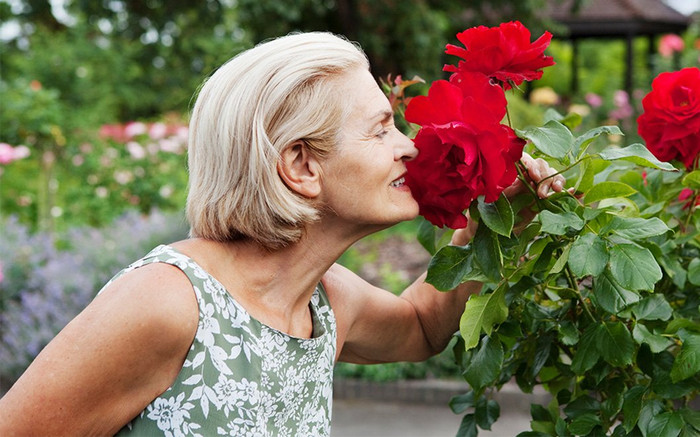 Thường xuyên ngửi thấy mùi hôi: Hệ quả đáng sợ hậu Covid-19 Ảnh 2