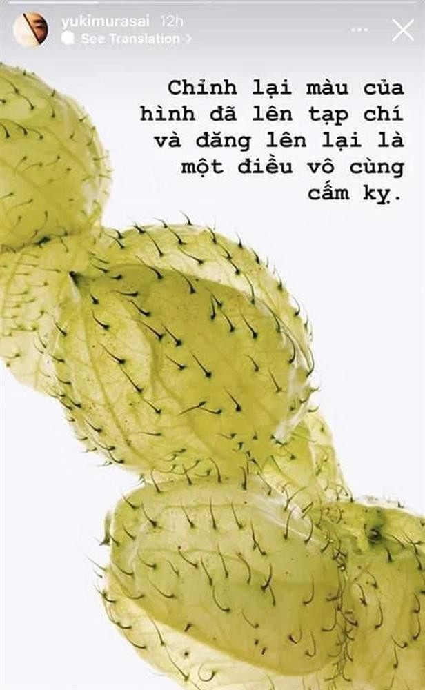 Chia sẻ của nhiếp ảnh gia, visual art 'bóng gió' trên trang cá nhân. 