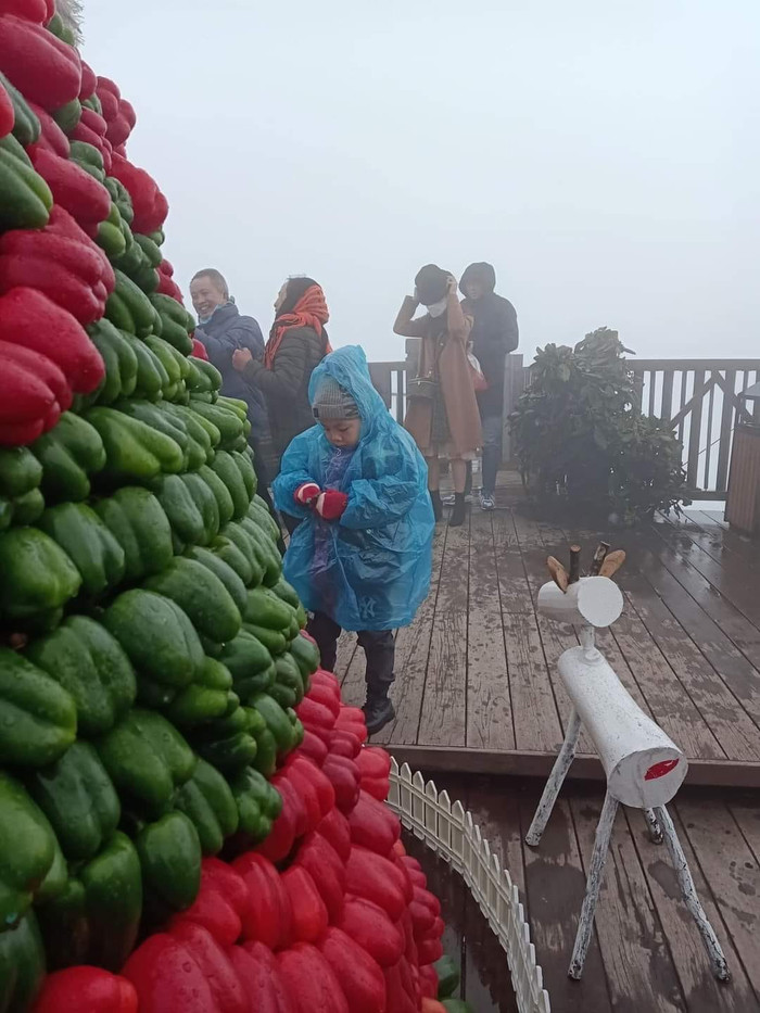 Tuyết trên Sa Pa thường rơi vào dịp trước hoặc sau Noel, sau Tết Âm lịch.