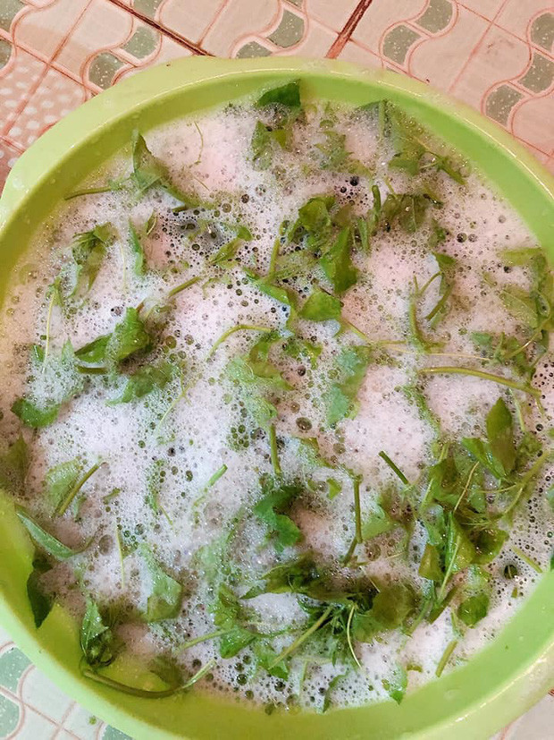 Chậu rau khiến nhiều người giật mình khi nghĩ rằng được làm sạch bằng xà phòng.