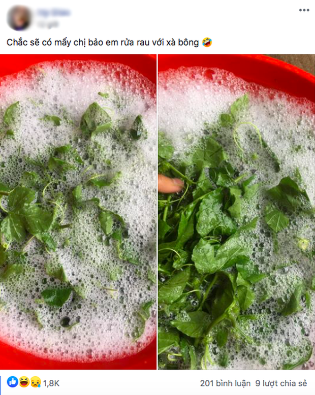 Hình ảnh rửa rau khiến nhiều người tò mò.