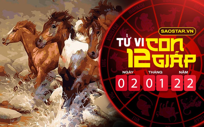 Tử vi hôm nay chủ nhật ngày 2/1/2022 của 12 con giáp: Ngọ kiếm được không ít tiền, Thân vượng vận đào hoa Ảnh 2