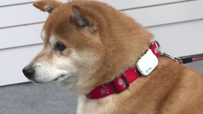 5 sản phẩm công nghệ kỳ quặc nhất sắp xuất hiện tại CES 2022 Ảnh 3