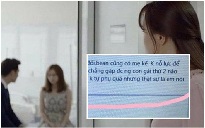 Vợ phát hiện tiểu tam nhắn tin cho chồng 'sẽ nỗ lực làm mẹ kế con anh' và cái kết khiến nhiều người hả dạ Ảnh 2