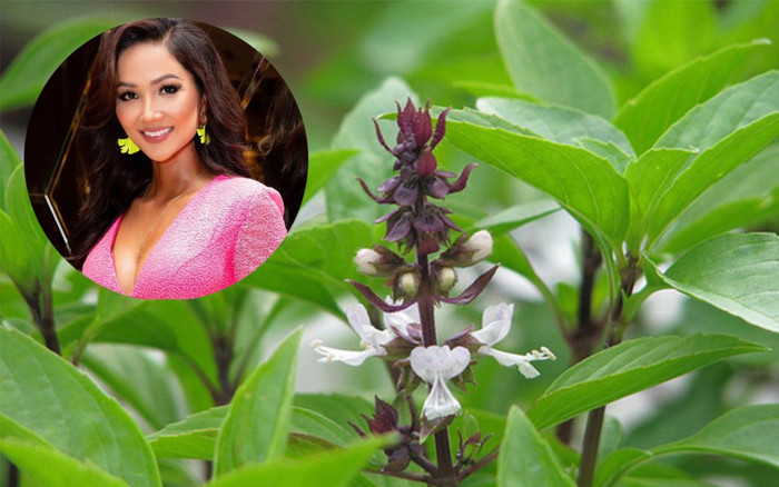 H'Hen Niê bất ngờ khi thấy rau thơm quen thuộc được trồng làm cảnh tại Dubai Ảnh 2