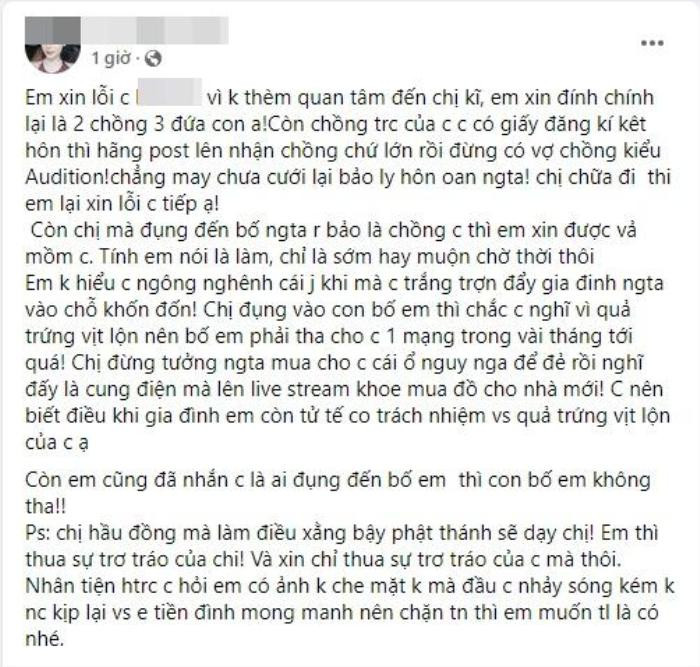 Ca sĩ Lều Phương Anh lên tiếng khi bị tố là 'tiểu tam', có con với chồng người khác Ảnh 3