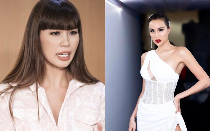 Hà Anh bị Phương Mai 'dội nước lạnh' khi phân trần vụ bé gái 8 tuổi, bóc sự thật 'ảnh thân thiết' Ảnh 2