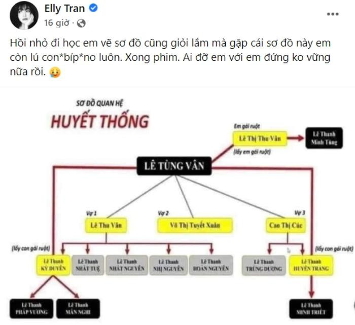 Elly Trần 'đứng không vững' trước sơ đồ huyết thống của ông Lê Tùng Vân, còn muốn 'tẩm ướp' Ảnh 1