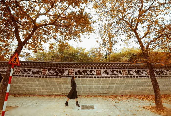 Rất nhiều người đã đến địa điểm có hàng phong để ghi lại những khoảnh khắc đẹp hiếm hoi.