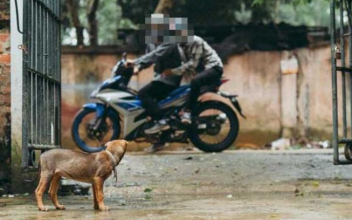 Khởi tố bị can, bắt tạm giam 2 đối tượng trong vụ người đàn ông mặc áo Grab tử vong cạnh 1 con chó Ảnh 2