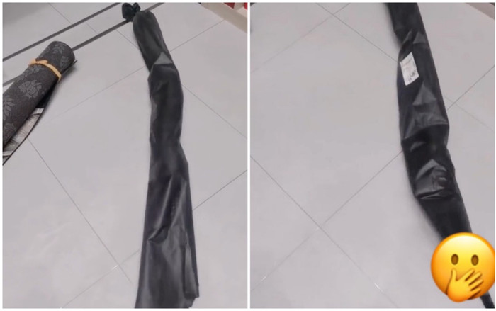 Khui thảm xong bên trong có tiếng xột xoạt, cô gái bị doạ sợ hú hồn, không ngờ lý do là đây Ảnh 2