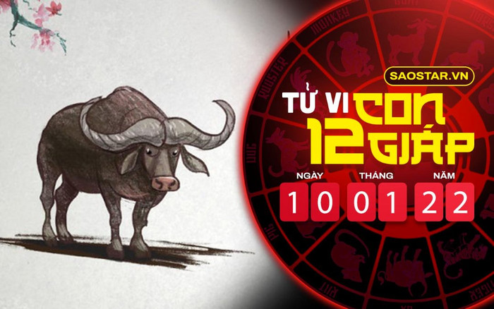 Tử vi hôm nay thứ 2 ngày 10/1/2022 của 12 con giáp: Sửu tài lộc liên tục đổ vào nhà, Mão gặp áp lực Ảnh 2