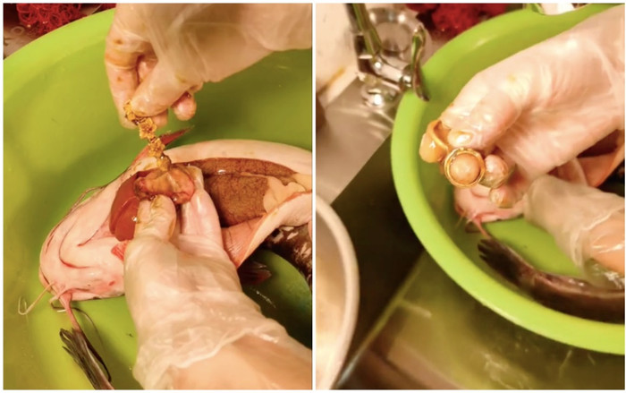 Bắt cá trê về thịt, cô gái lấy ra vài chỉ vàng trong bụng cá nhưng điều này lại khiến netizen rùng rợn Ảnh 2