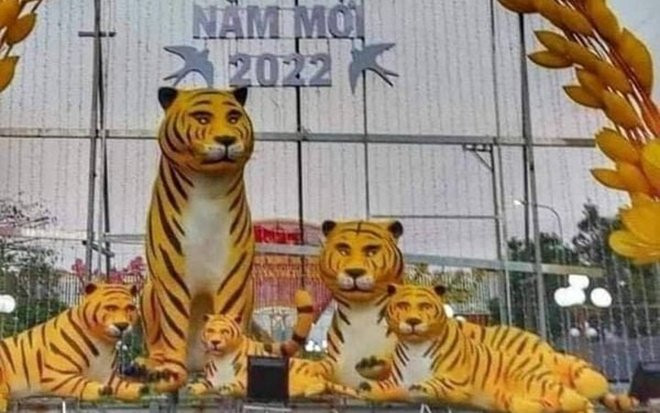 Dân mạng thích thú chia sẻ loạt ảnh linh vật chúa sơn lâm với vẻ mặt buồn thiu nhưng ánh mắt 'xéo sắc' Ảnh 2