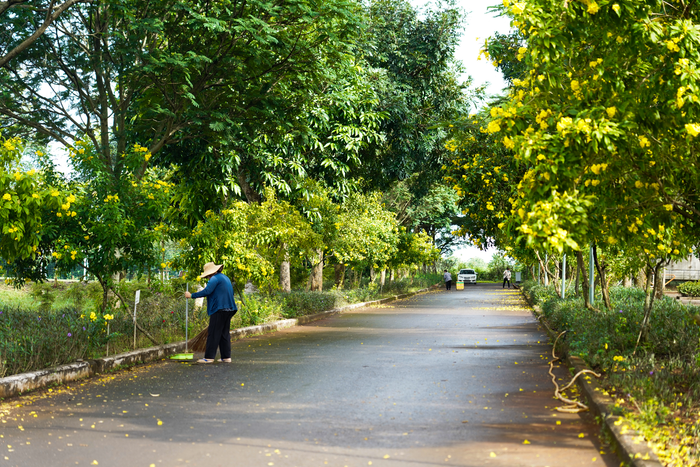 Cách TP.HCM 80km, có một trường đại học kiến trúc đẹp mê mẩn, khuôn viên phủ ngập sắc xanh Ảnh 7