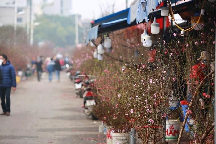 Hà Nội: Chợ Tết nô nức sắc xuân, đào lê ngập tràn, nhiều gia đình du xuân từ sớm Ảnh 12