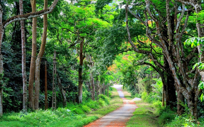 4 vườn quốc gia nổi tiếng tại Việt Nam, điểm đến ưa thích của giới trẻ Ảnh 2