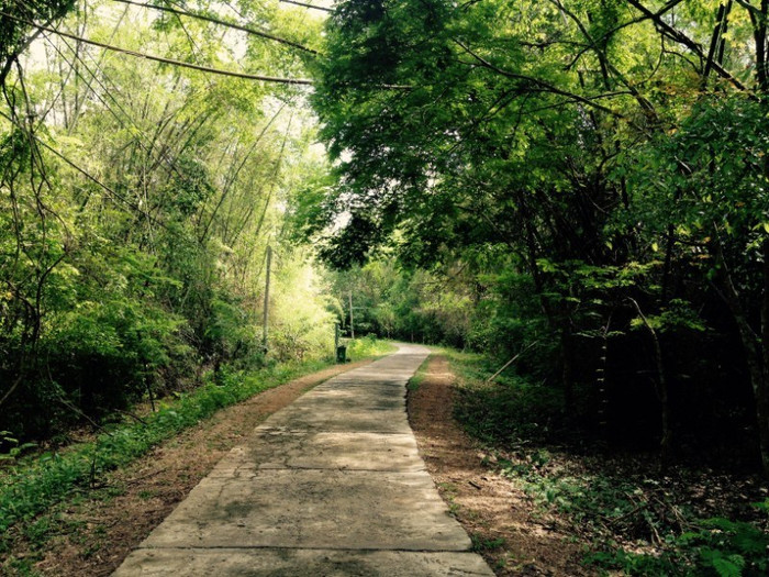 Đi bộ xuyên rừng cũng là một trong những hoạt động được nhiều du khách lựa chọn, với những cung đường trekking dài cùng cảnh quan tuyệt đẹp.