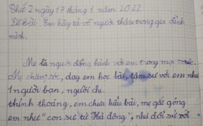 Làm văn tả về mẹ, học trò lớp 2 khiến phụ huynh 'giận tím mặt' với những chi tiết cực đặc biệt Ảnh 2